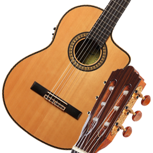 山东劳立斯世正乐器有限公司 吉他产品 富尔肯原声 FCG800CE-NT 